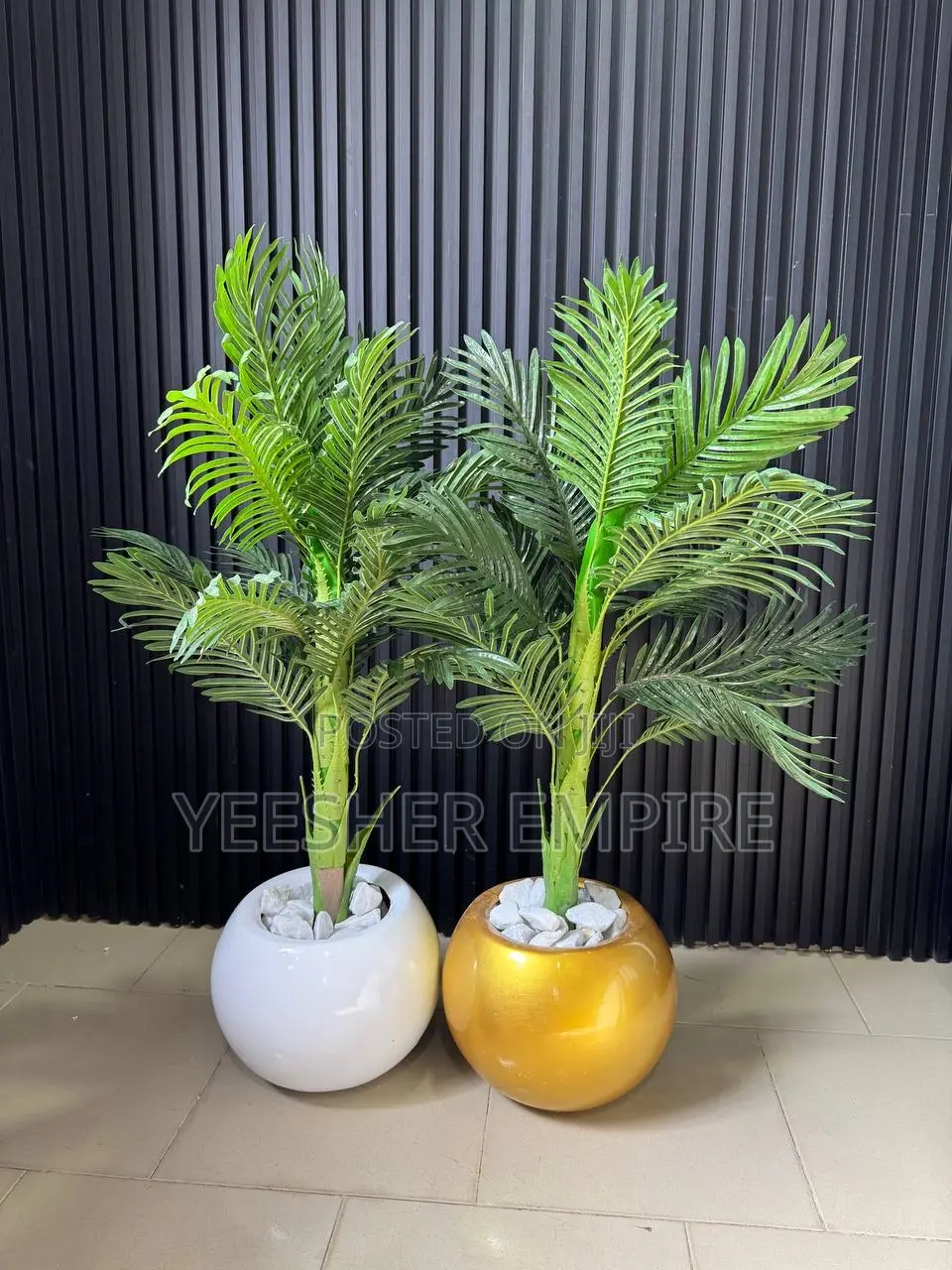 Flower Plant in Ball Vase