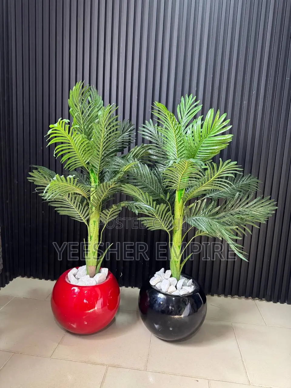 Flower Plant in Ball Vase