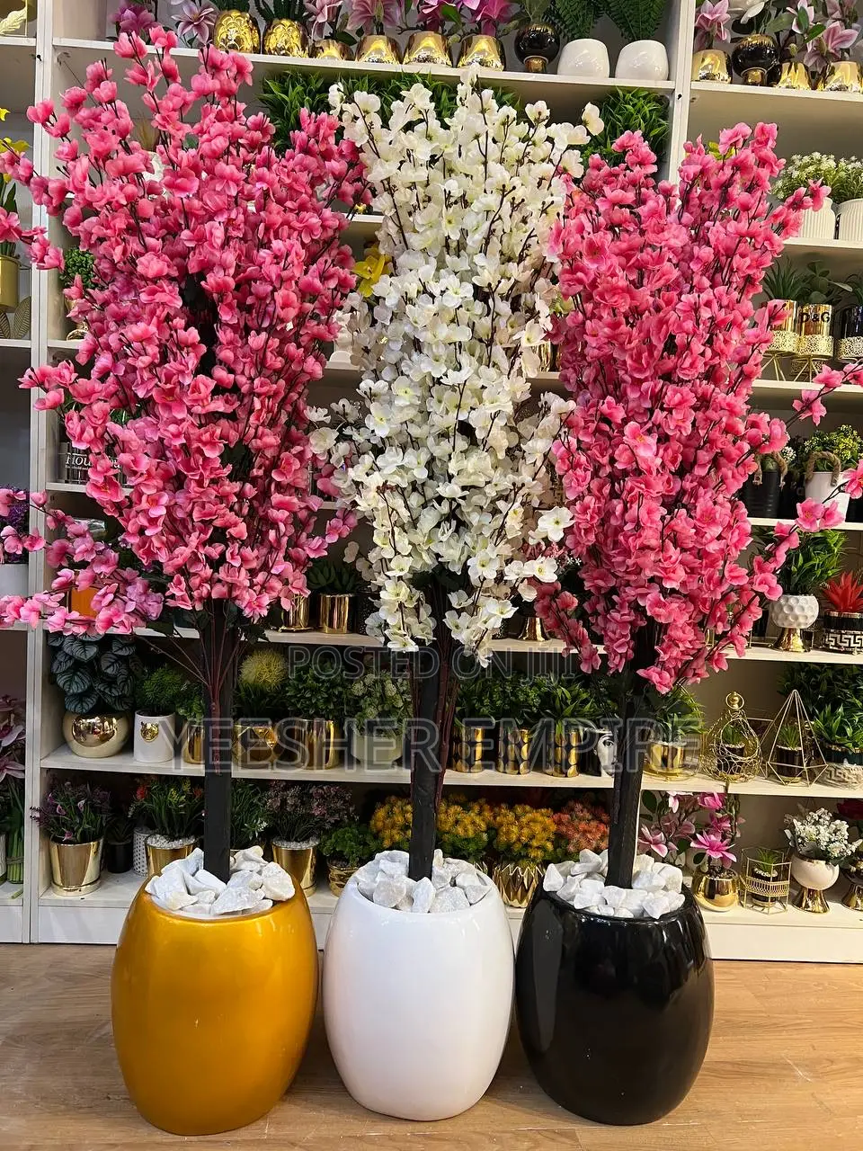 Blossom Plant In Fibre Pot