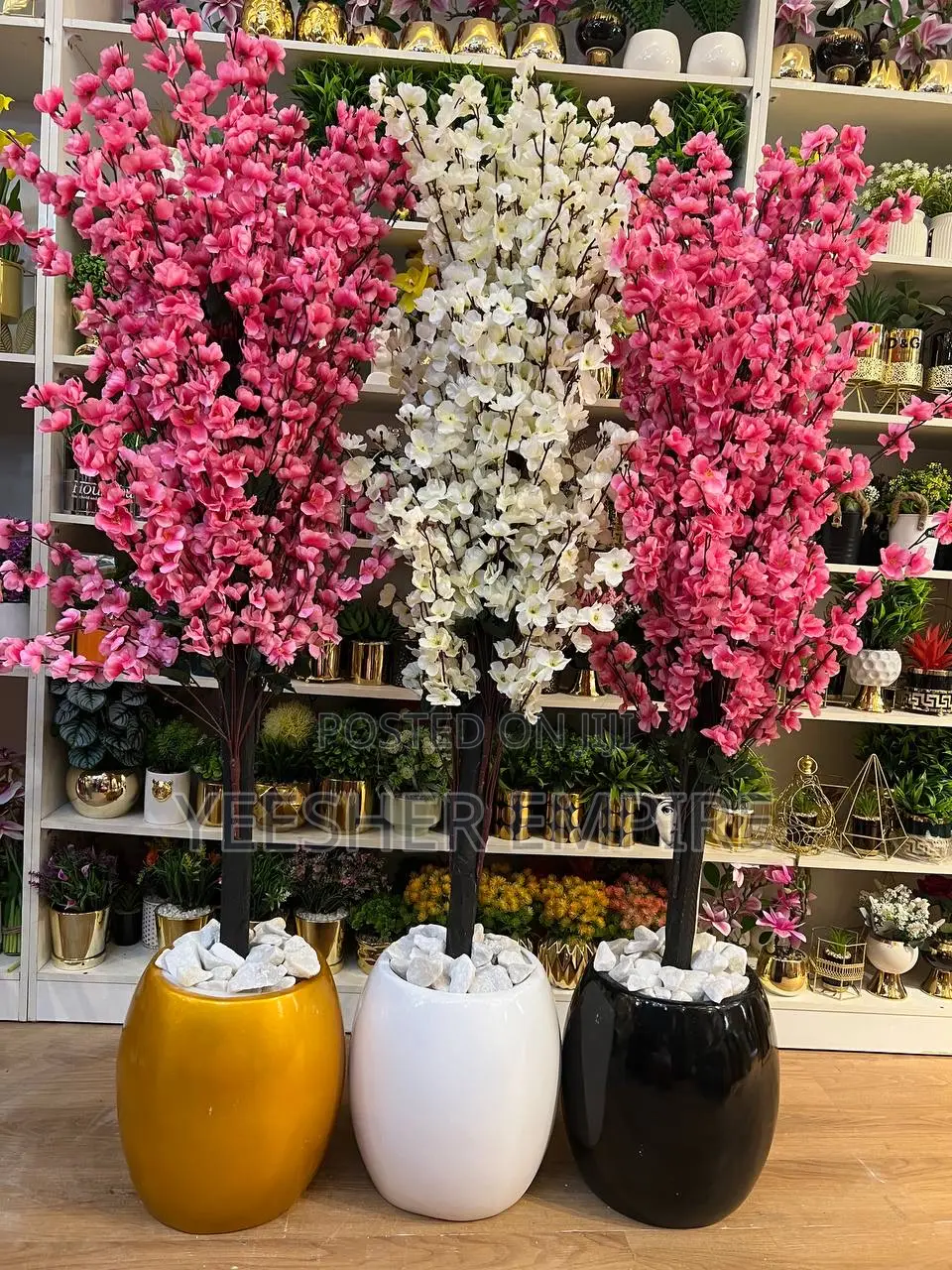 Blossom Plant In Fibre Pot