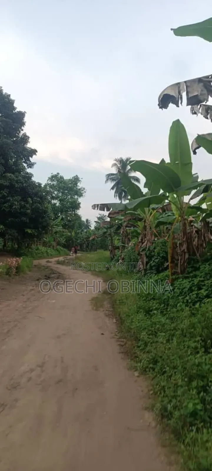 Distress Buy and Build Land for Sale