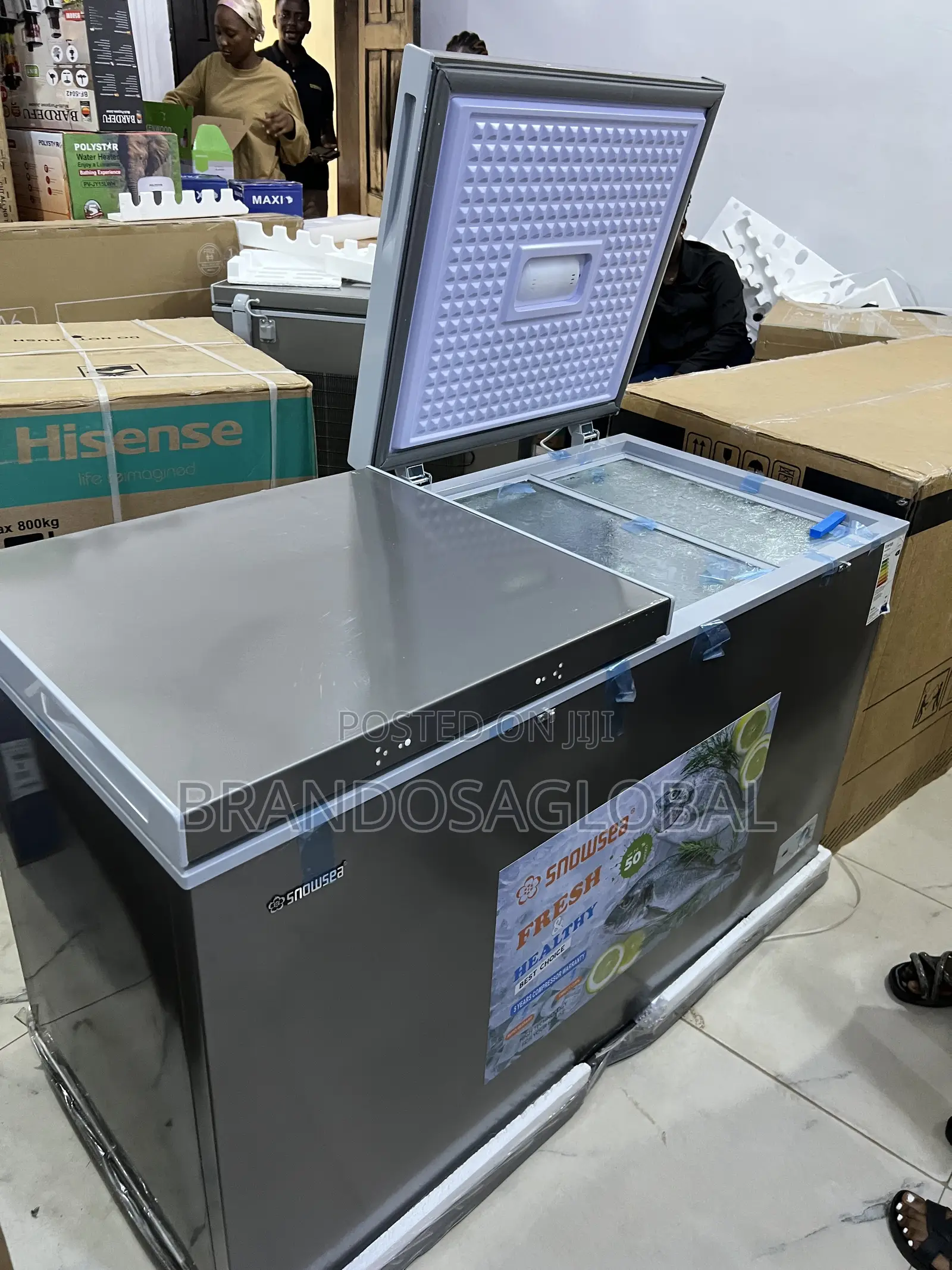 420l Snowsea Bd-600g Freezer With Large Storage Compartments
