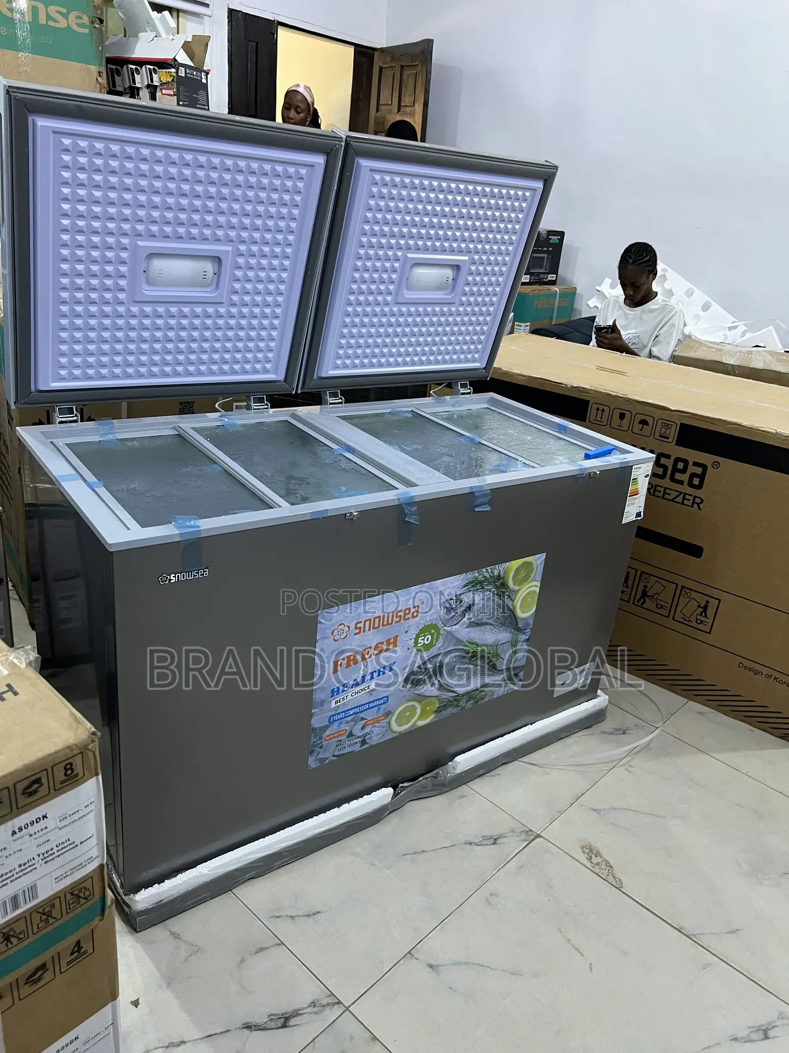Snowsea 420l Bd-600g Deep Freezer With Commercial-Grade Cooling
