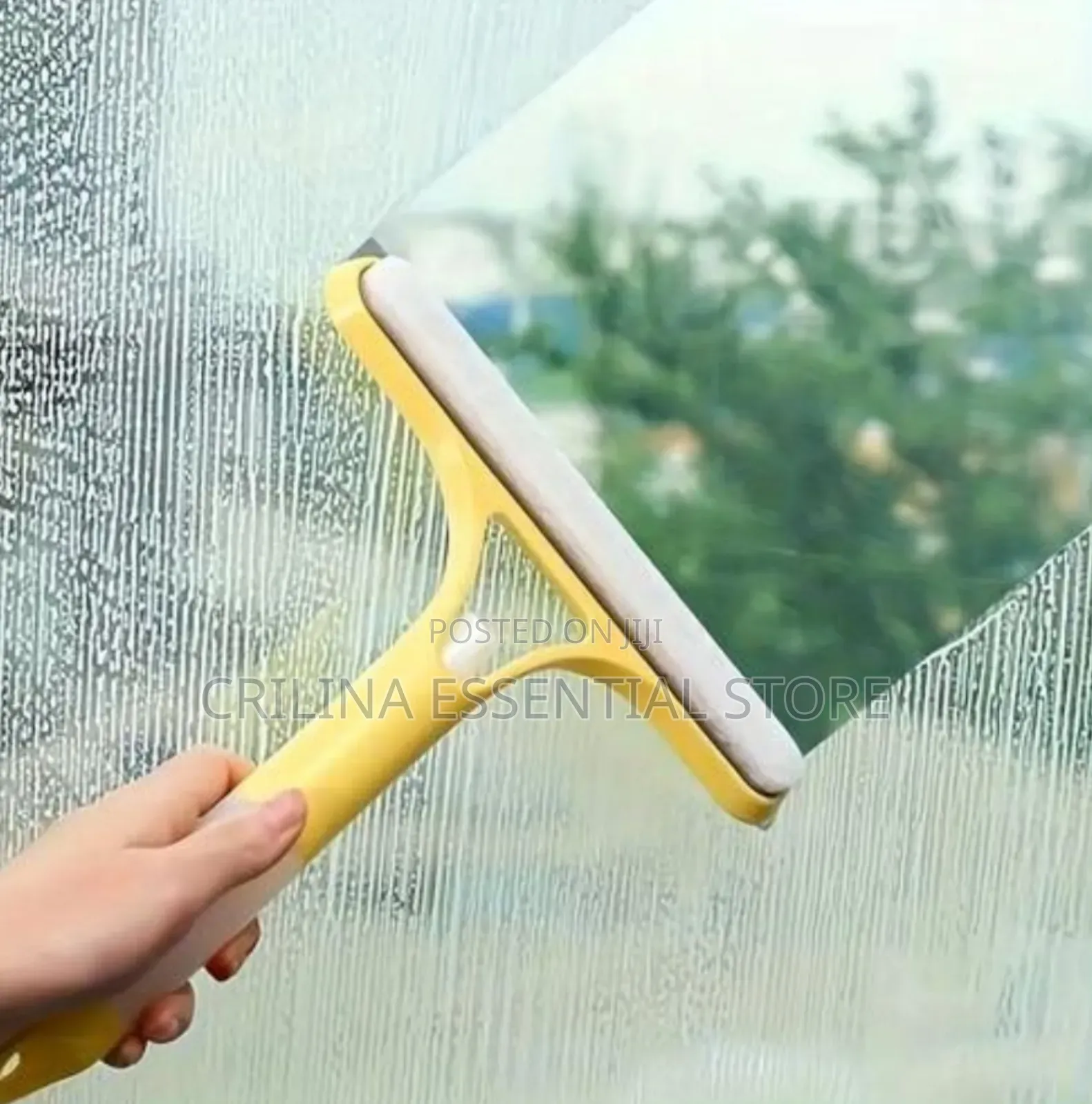 Window Wiper