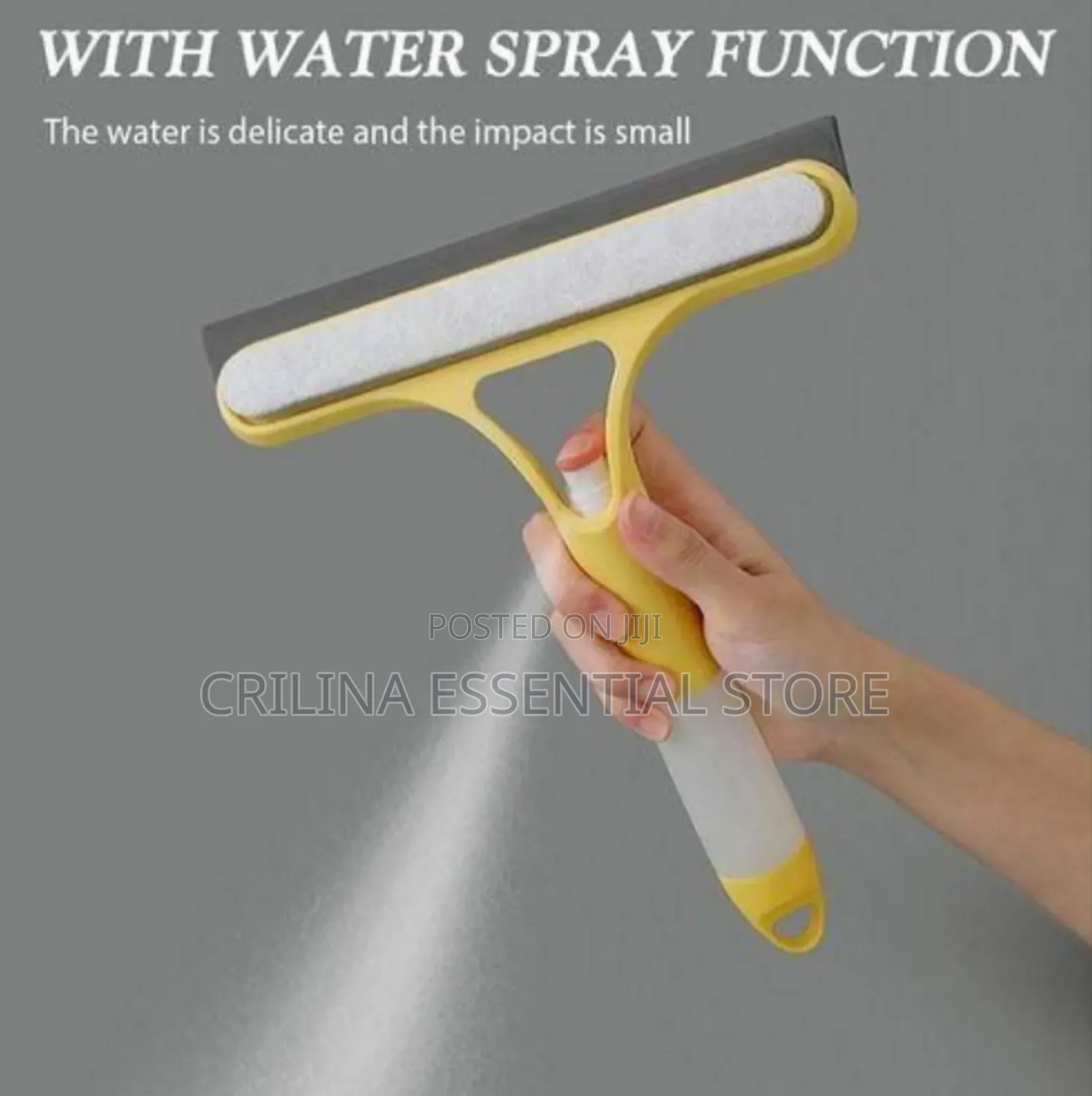 Window Wiper