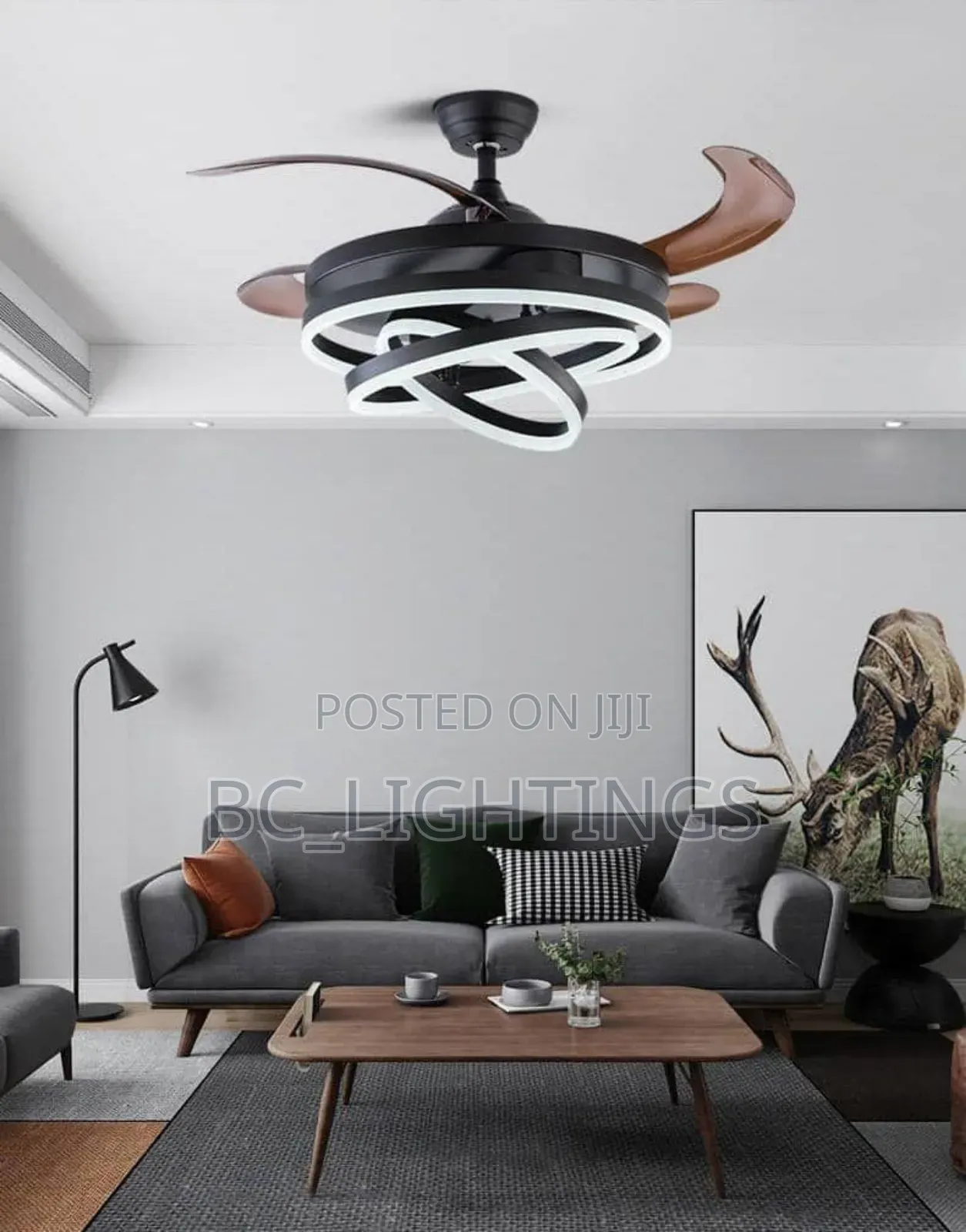Modern Fan Chandelier Light