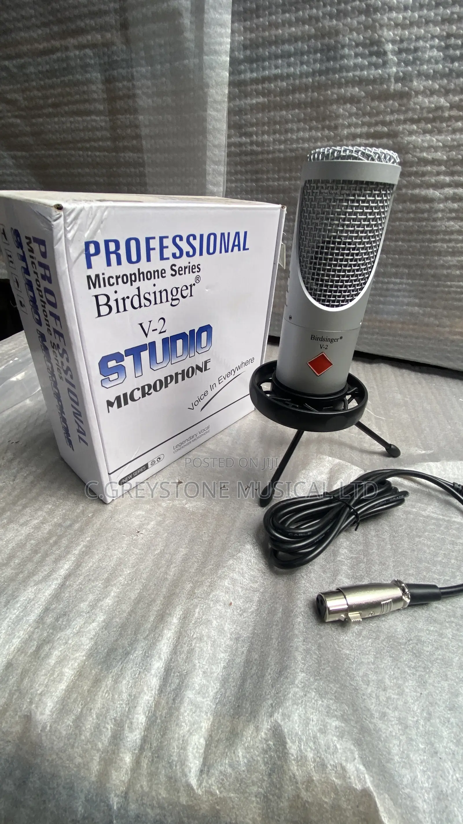 Condenser Recording Mic Birdsinger v-2