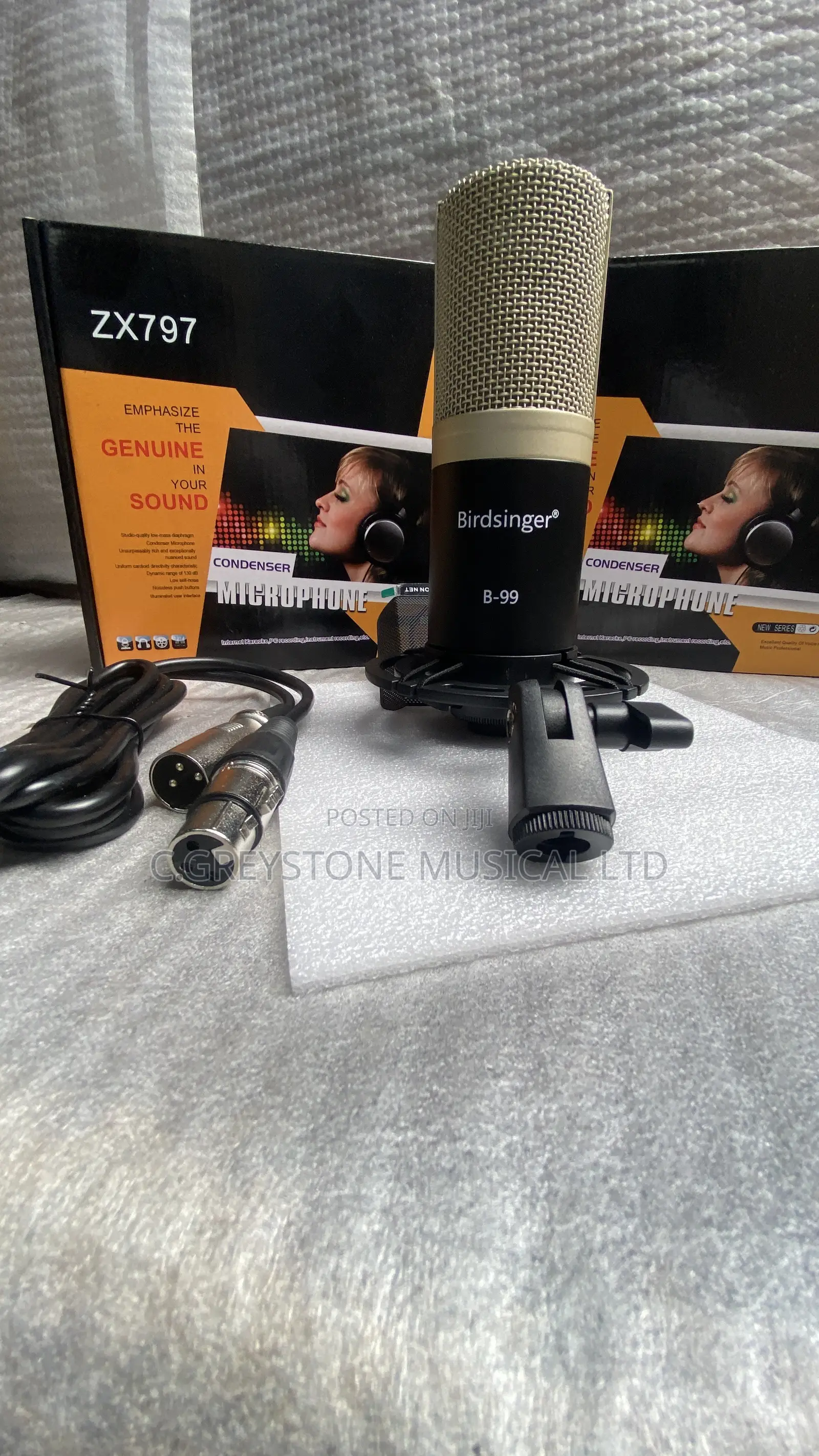 Condenser Studio Mic Birdsinger B-99