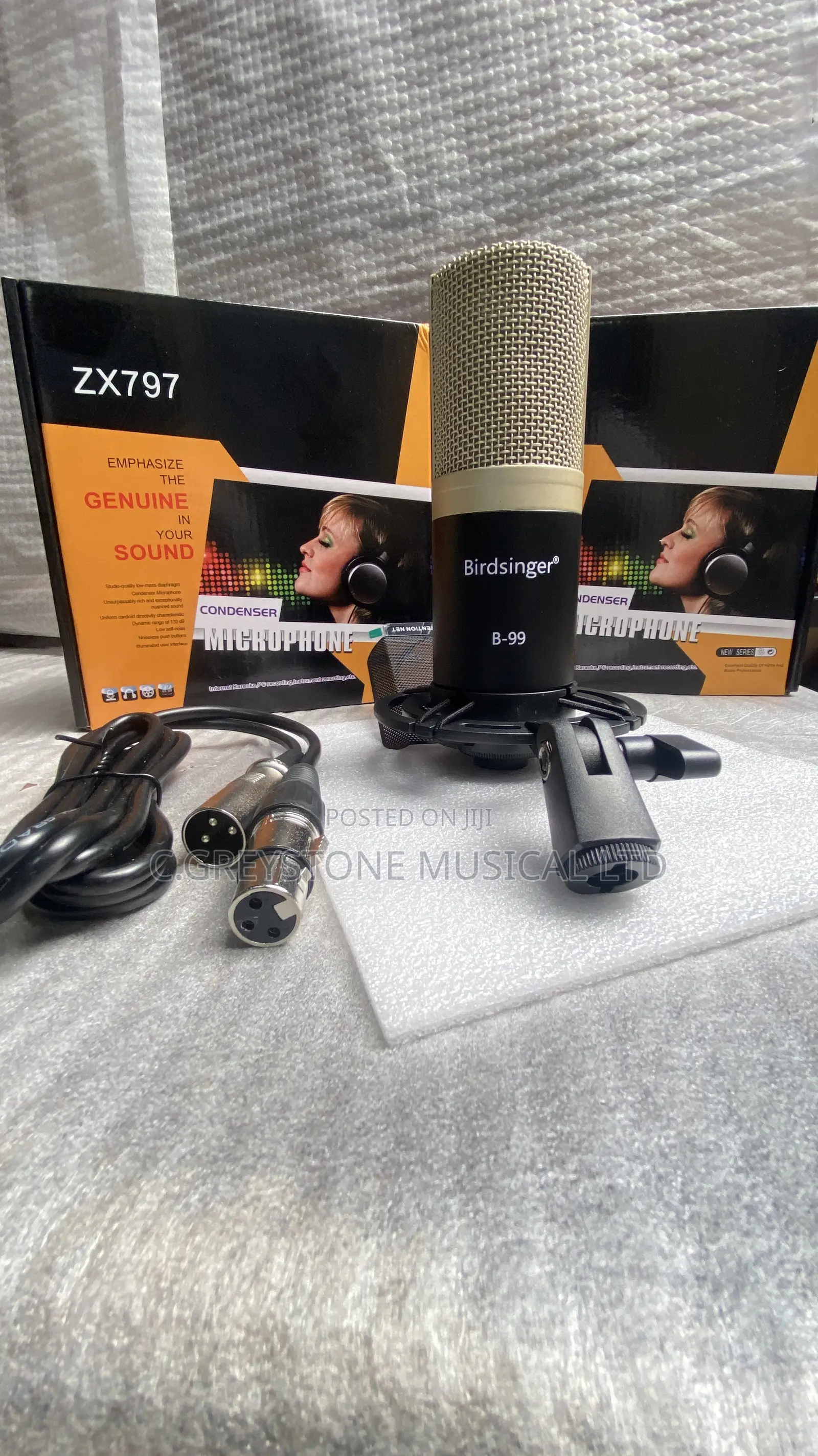 Condenser Studio Mic Birdsinger B-99