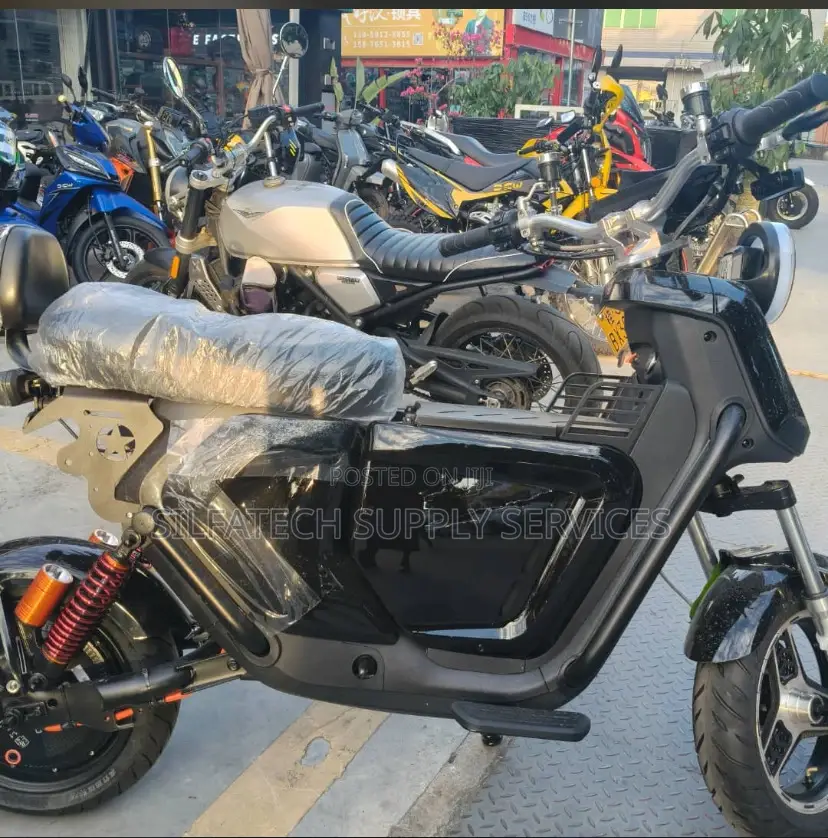 Original Electric Bike