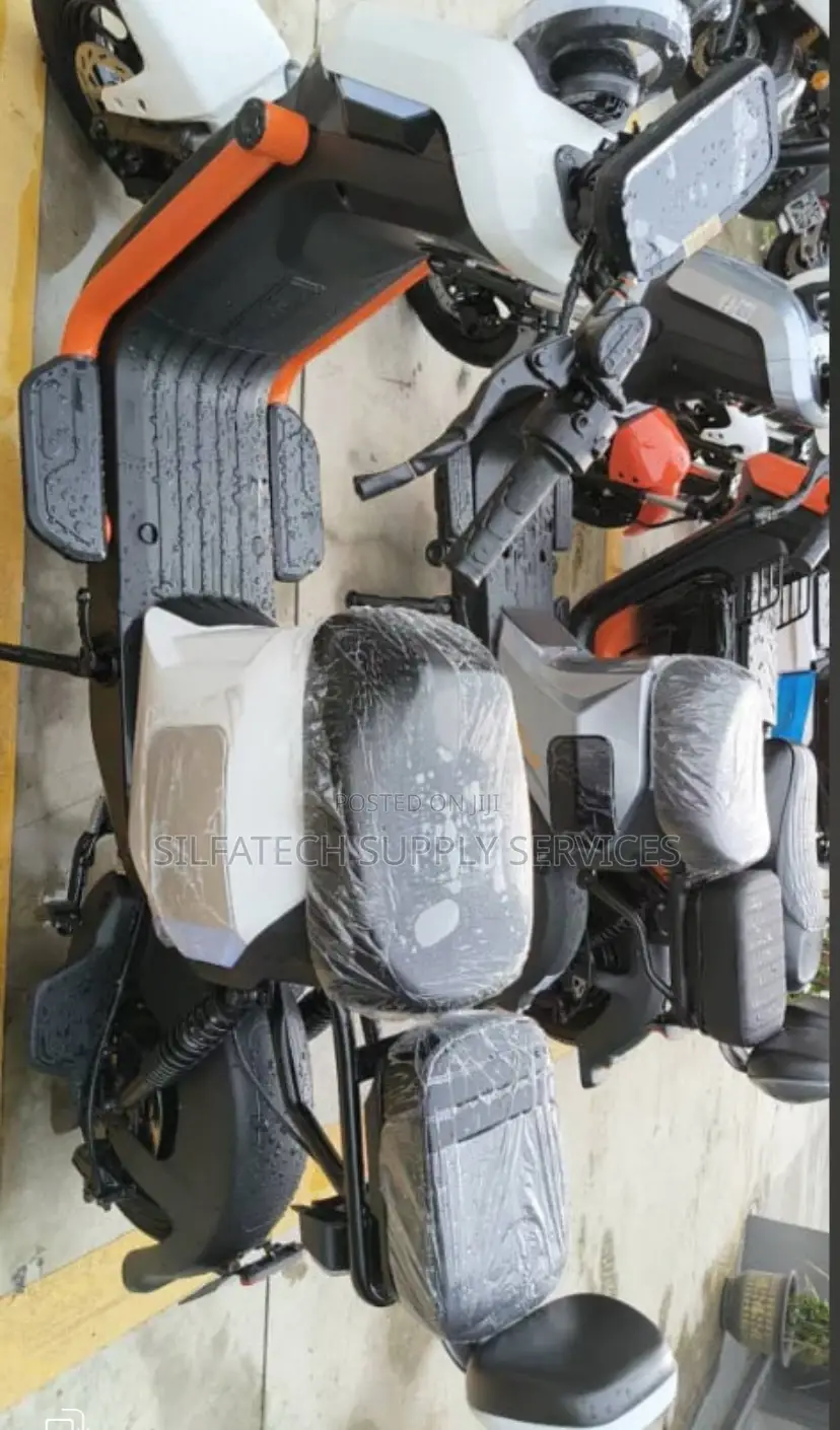 Original Electric Bike
