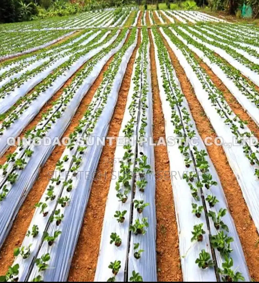 Mulching Film