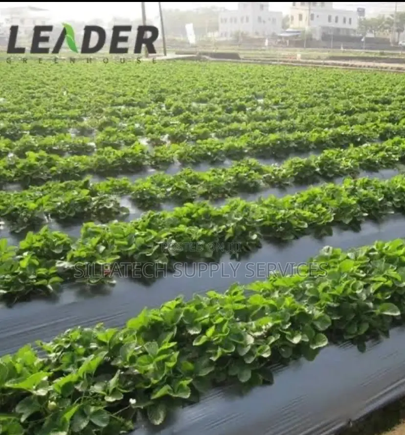 Mulching Film