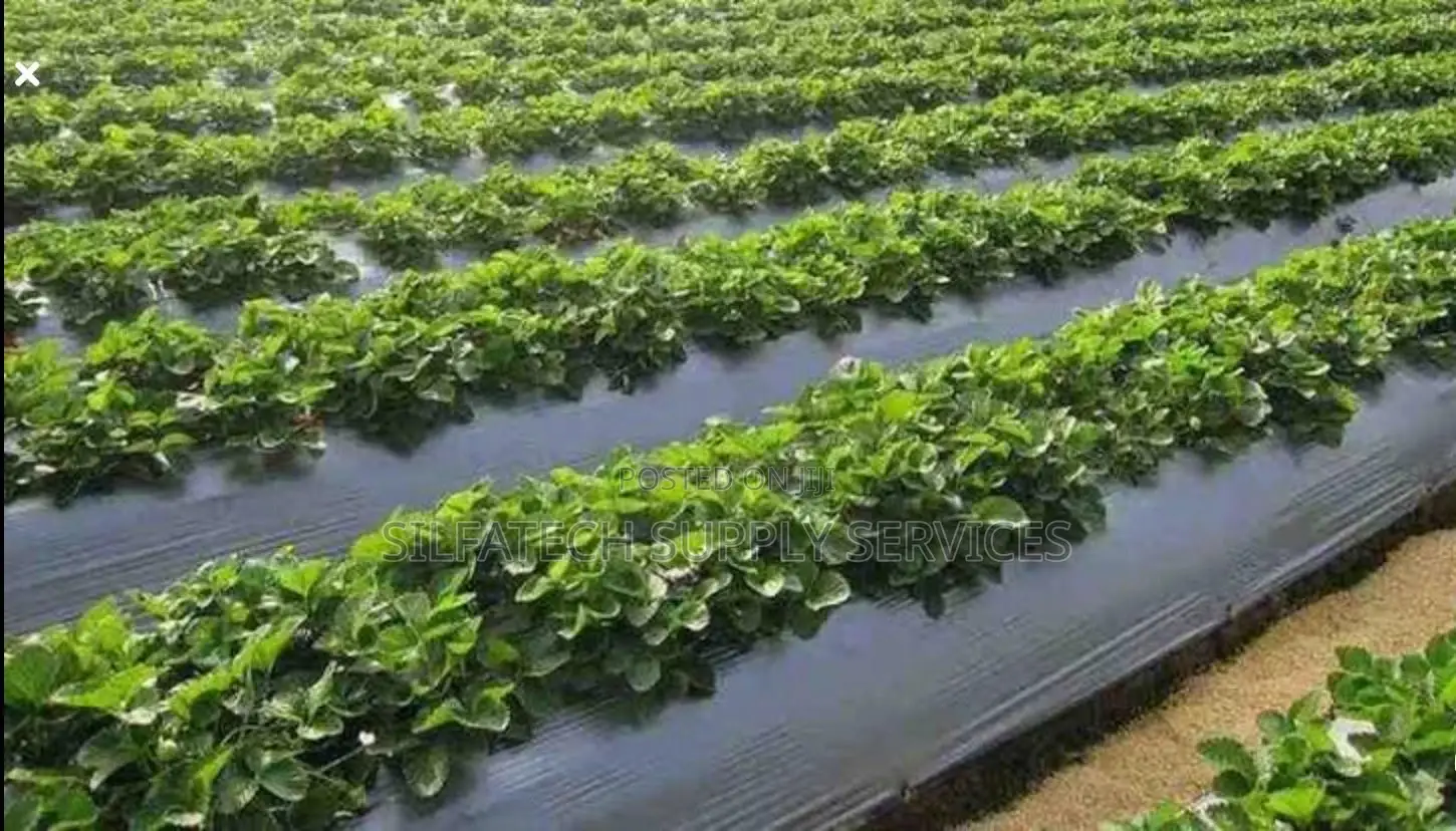 Mulching Film