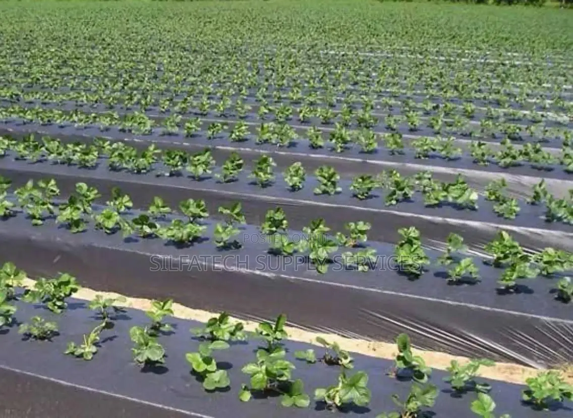 Mulching Film