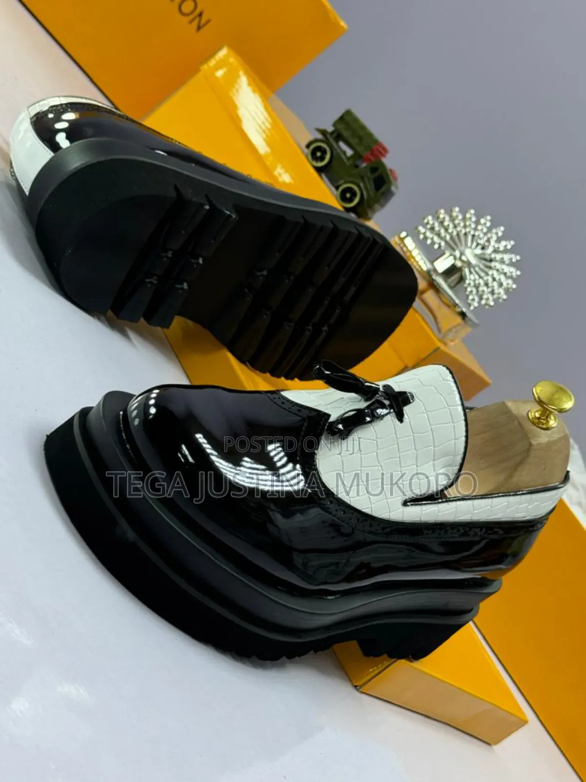 Louis Vuitton Latest Design Tie Shoes
