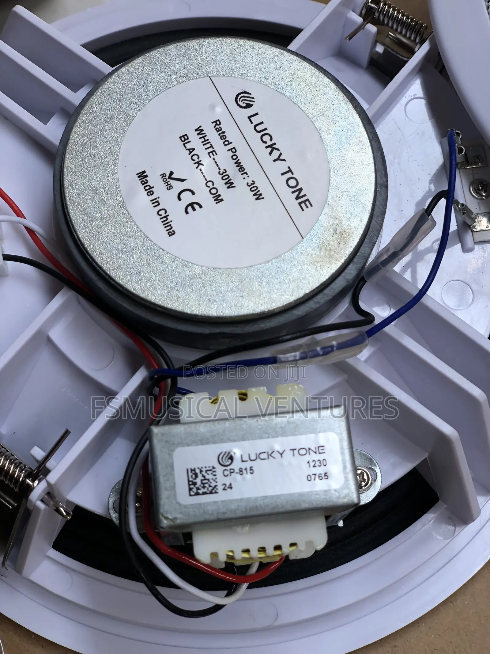 Lucky Tone 30watts Celling Speaker With 4inch in Wall Amplifier