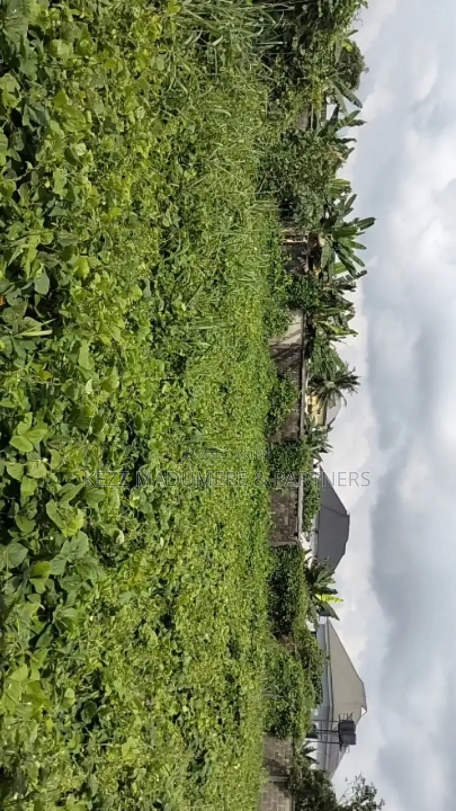 For Sale : 2 1⁄4 Plots 2 Poles Off Major Road ,Ozuoba Rd Ph