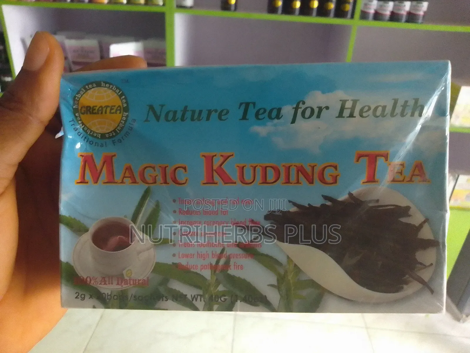 Greatea Magic Kuding Tea:For Dizziness, Fatigue Fever