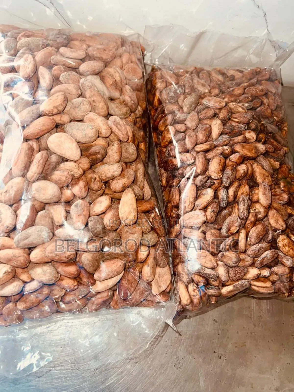 Cocoa Beans
