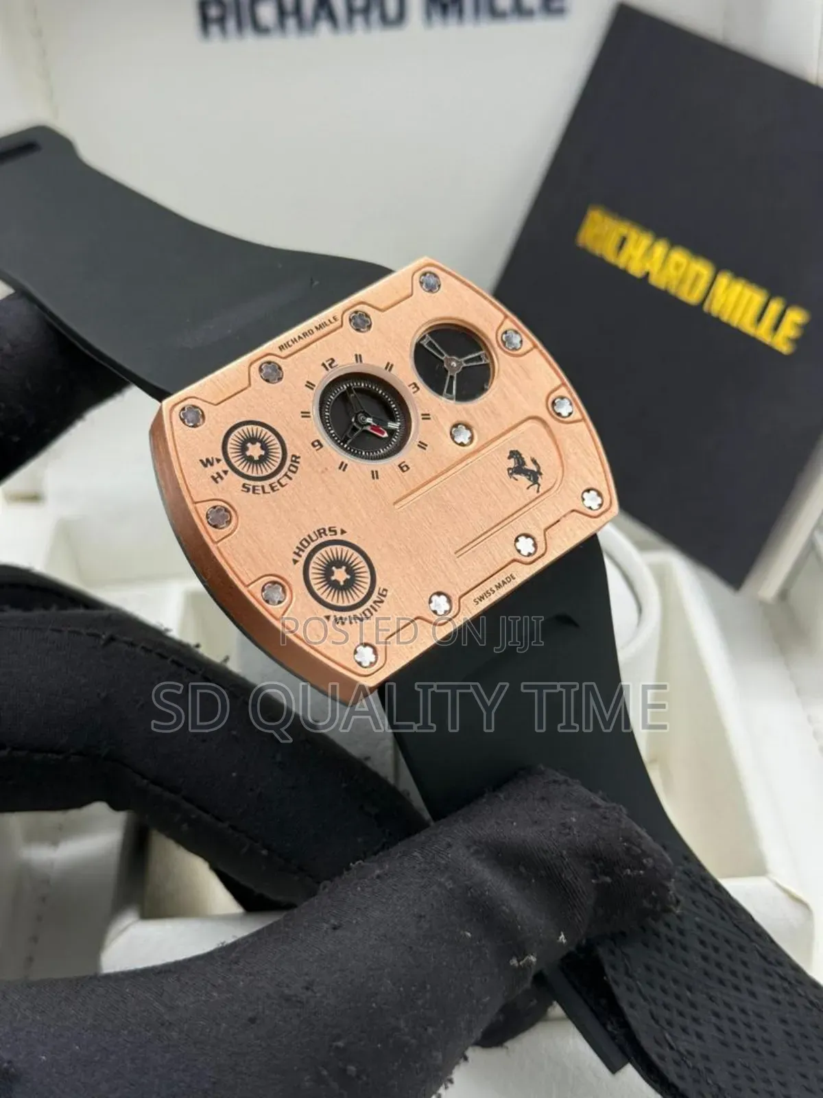 Richard Mille Professional Watch