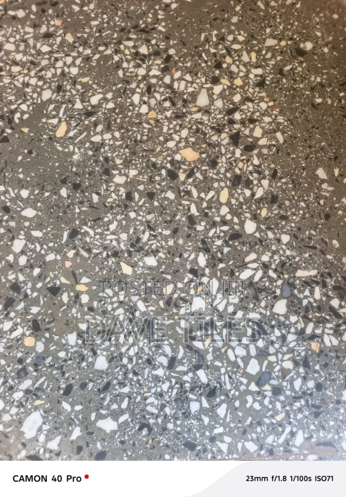 Terrazzo Expert
