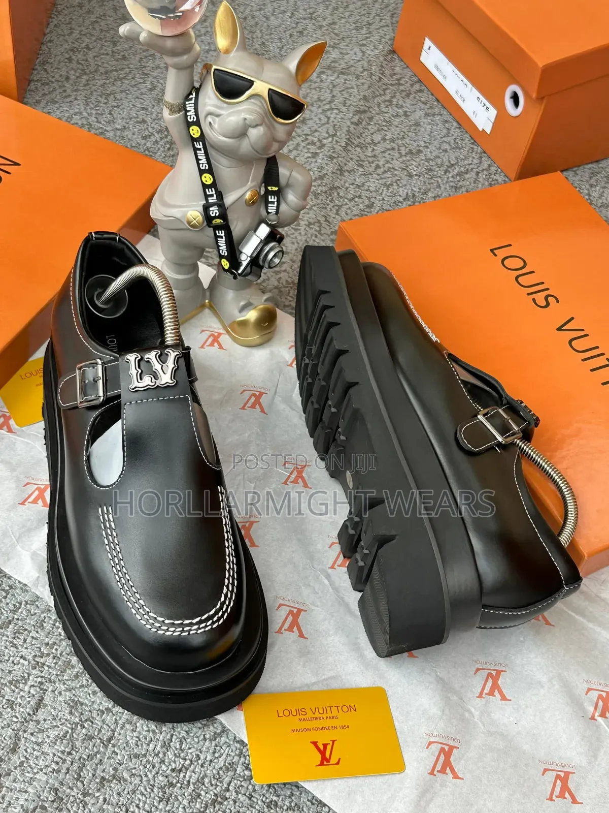 Louis Vuitton Designer Shoe