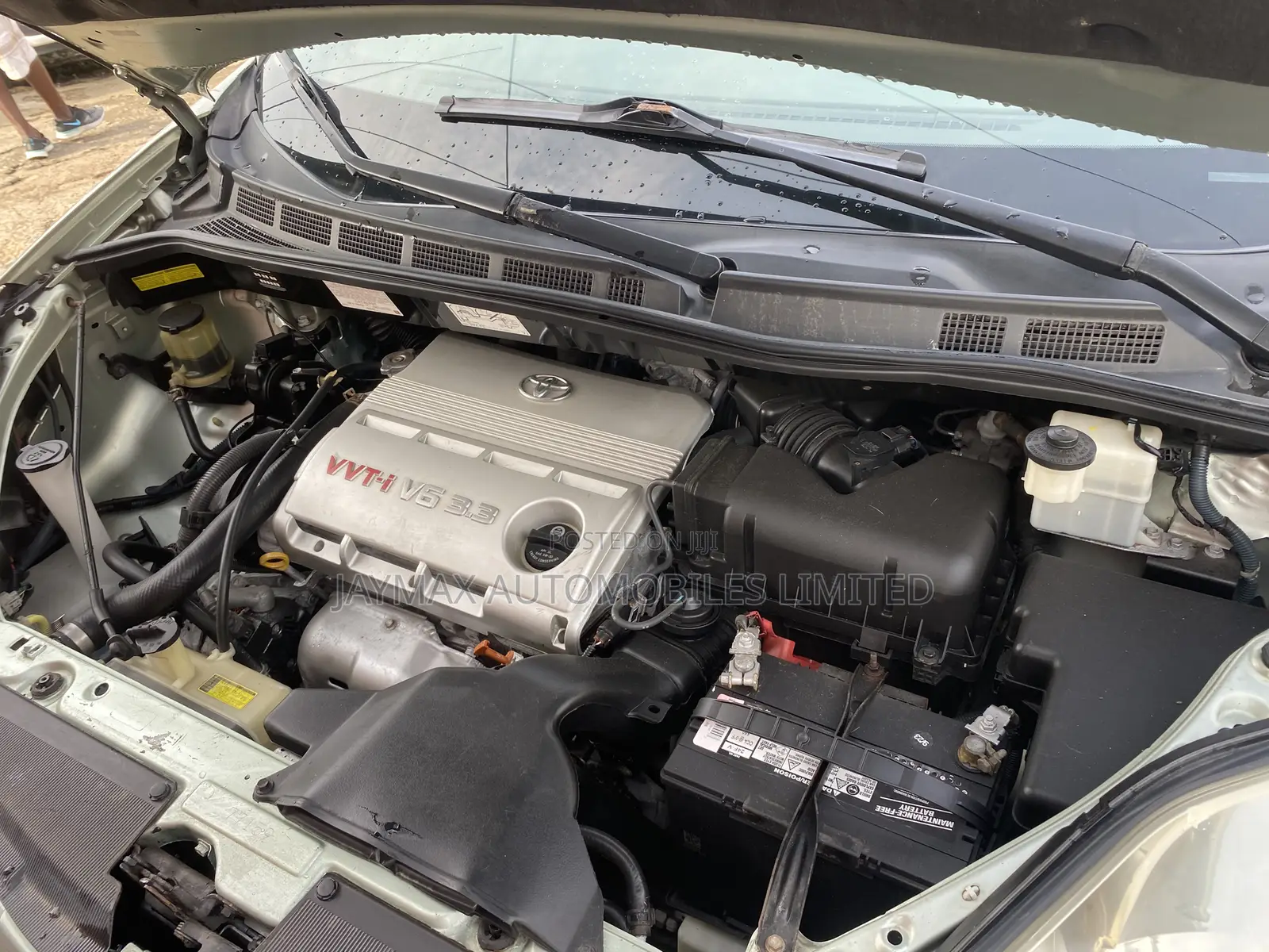 Toyota Sienna 2006 Green