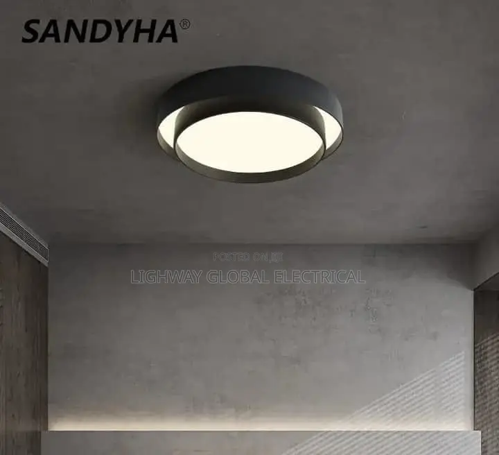 Nordic Led Ceiling Lamp