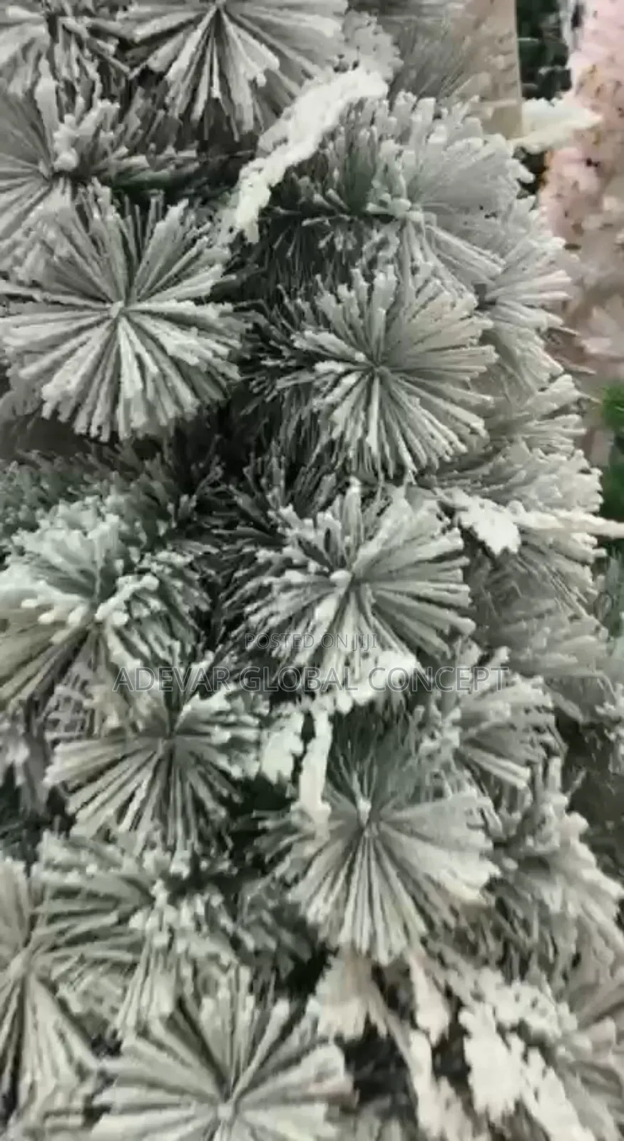 Christmas Snow Flocked Tree (Available in 6ft to 10ft)