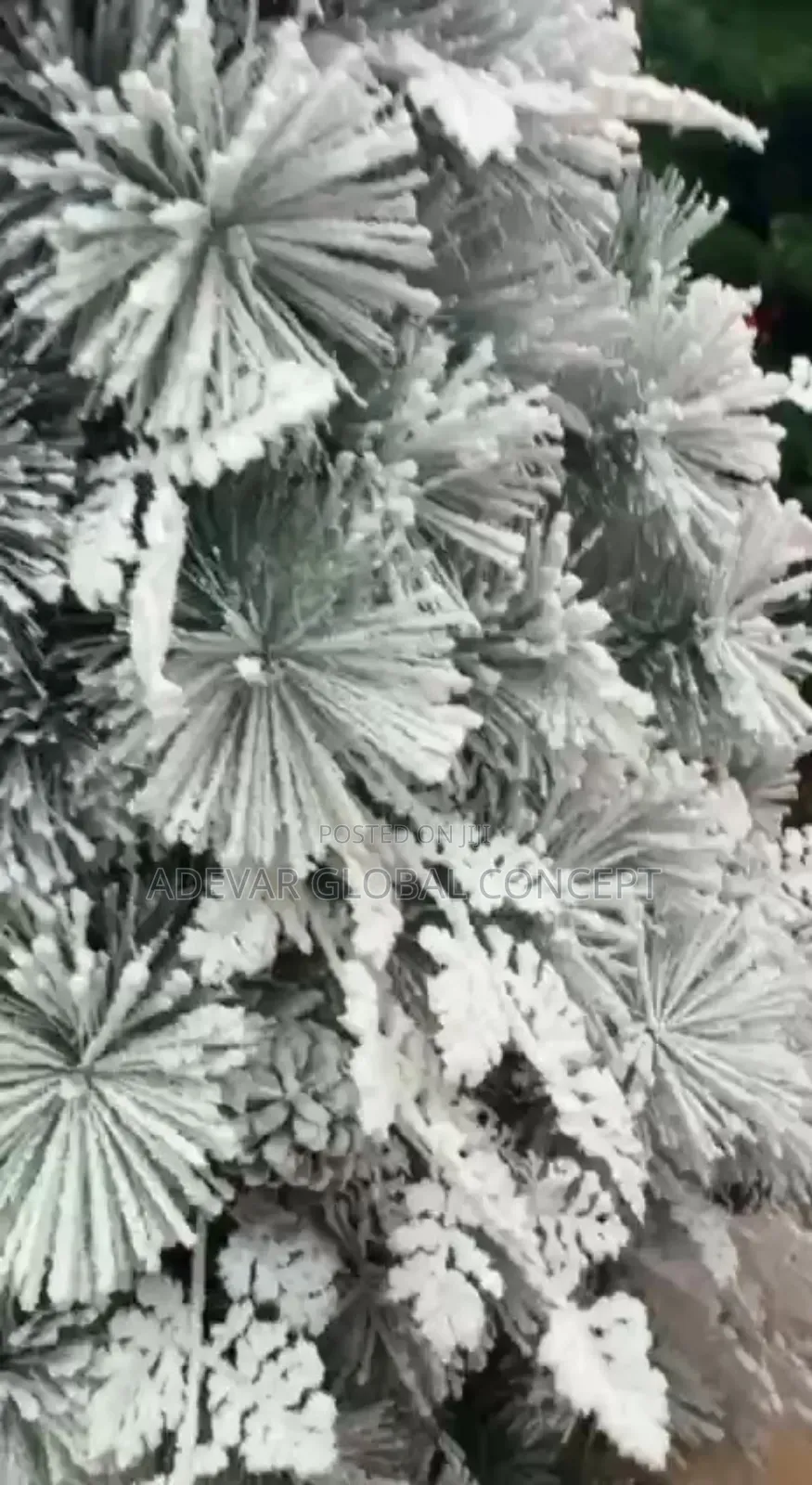 Christmas Snow Flocked Tree (Available in 6ft to 10ft)