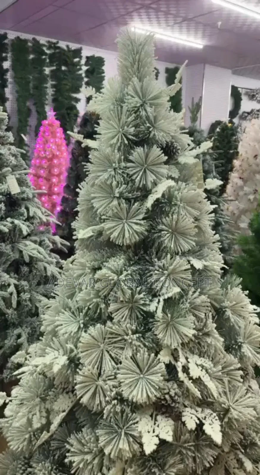Christmas Snow Flocked Tree (Available in 6ft to 10ft)
