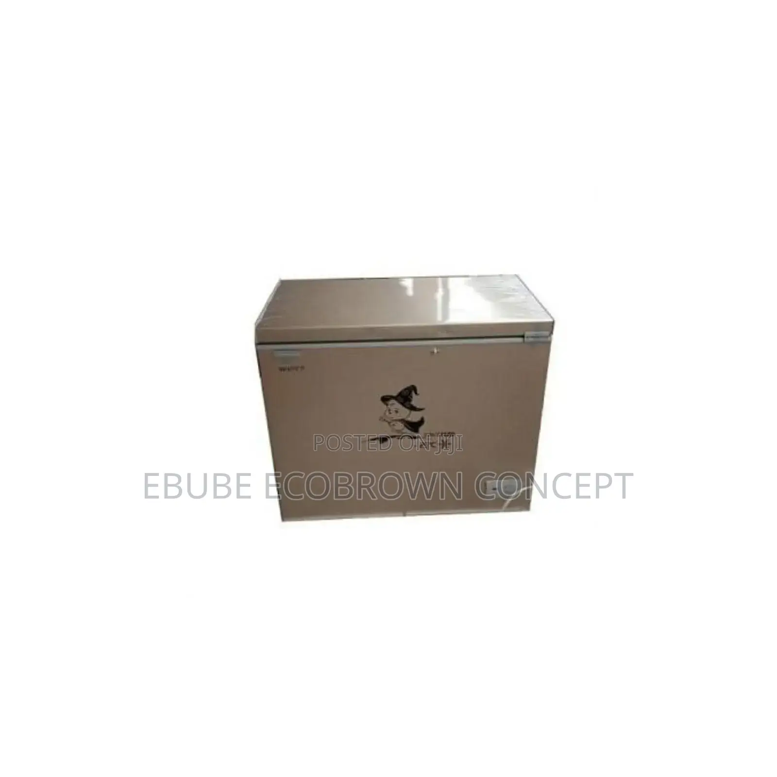 Snowsea Simple Home Chest Freezer Bd-208