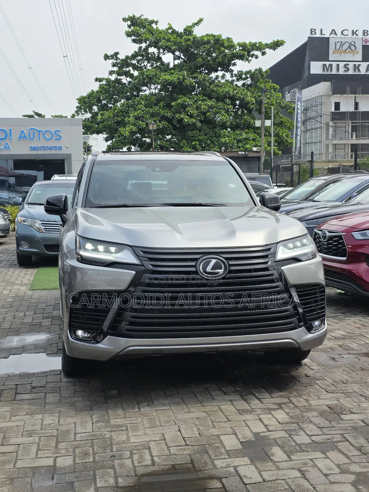 Lexus LX 2025 Gray