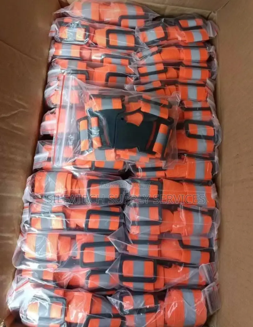 Safety Harness