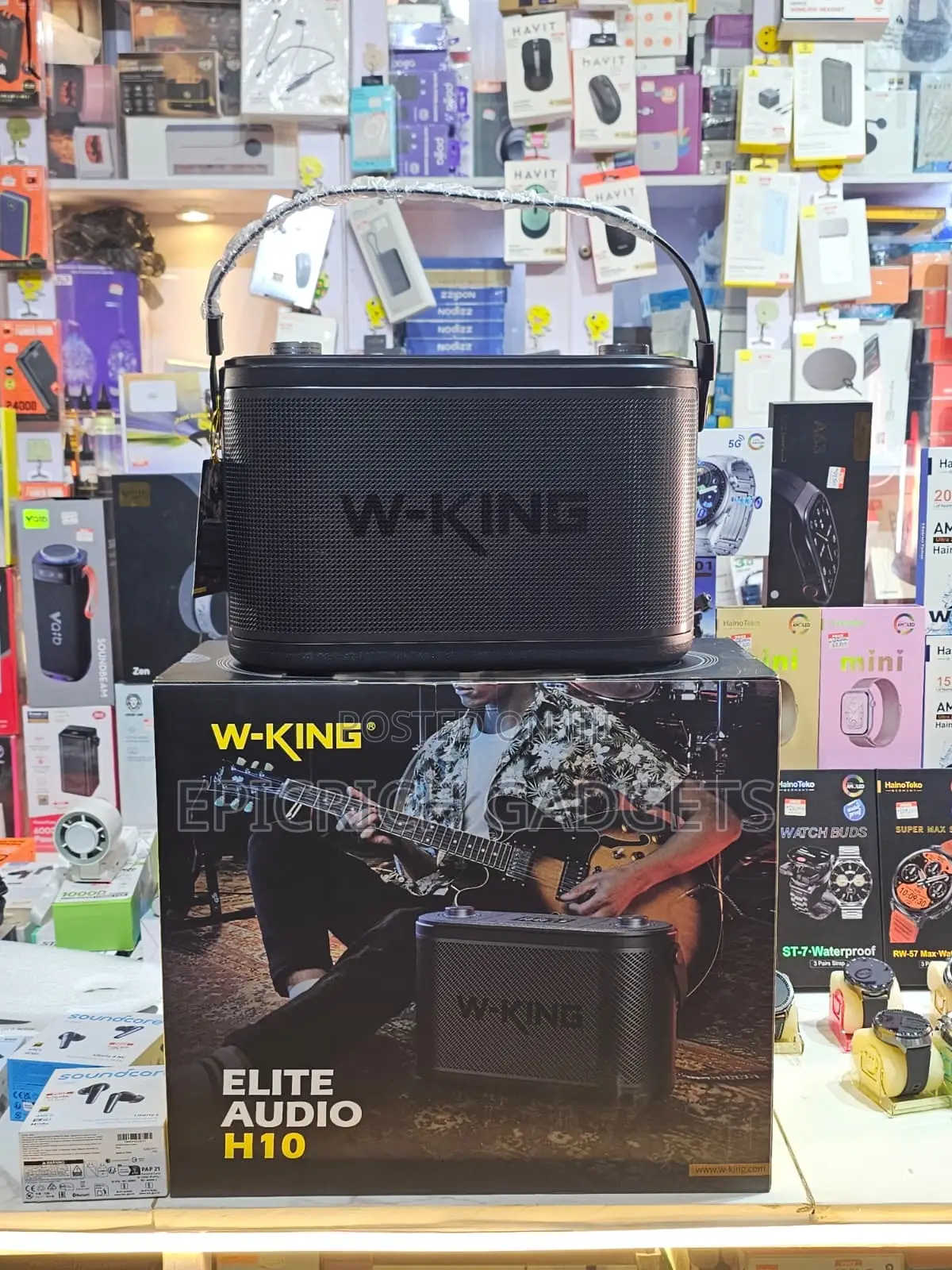 W-King Elite Audio H10 Bluetooth Speaker With Dual Wireless Mic
