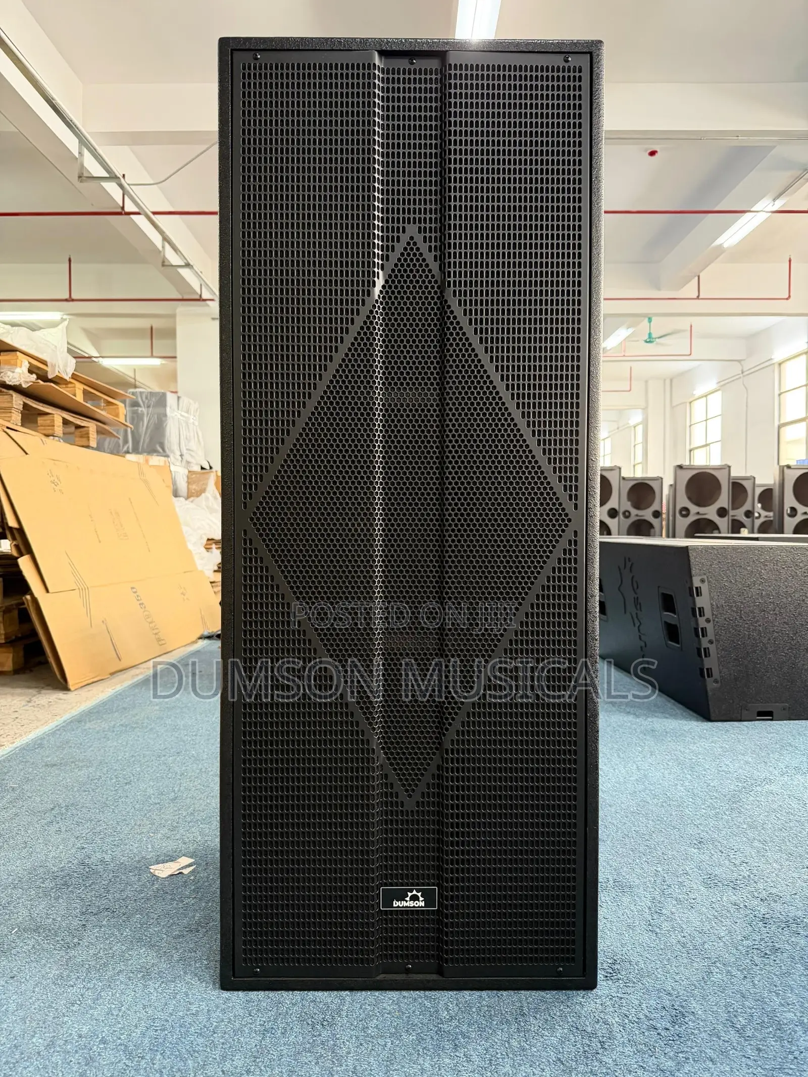 Dumson Full Range Speaker Ds-315