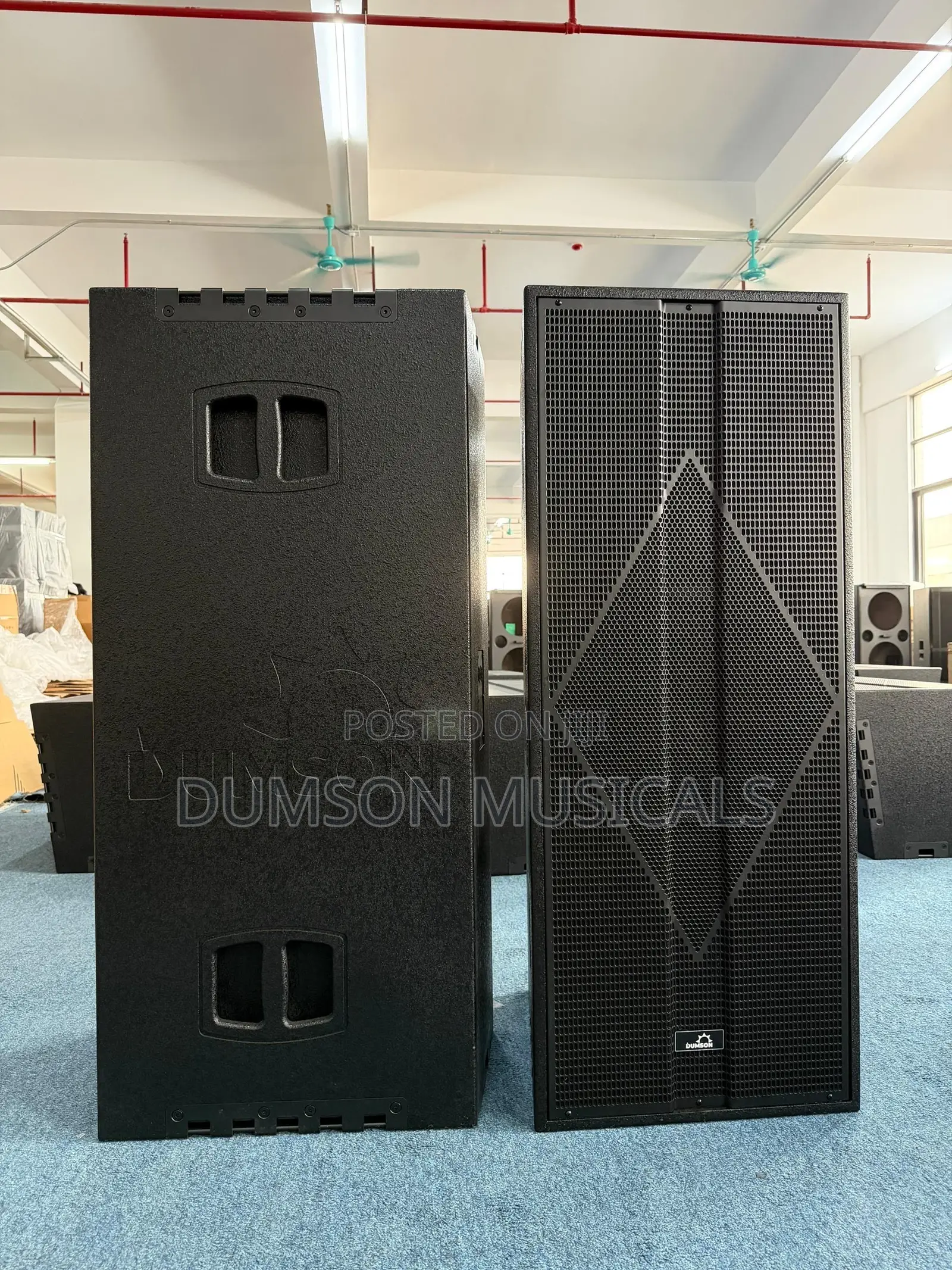 Dumson Full Range Speaker Ds-315