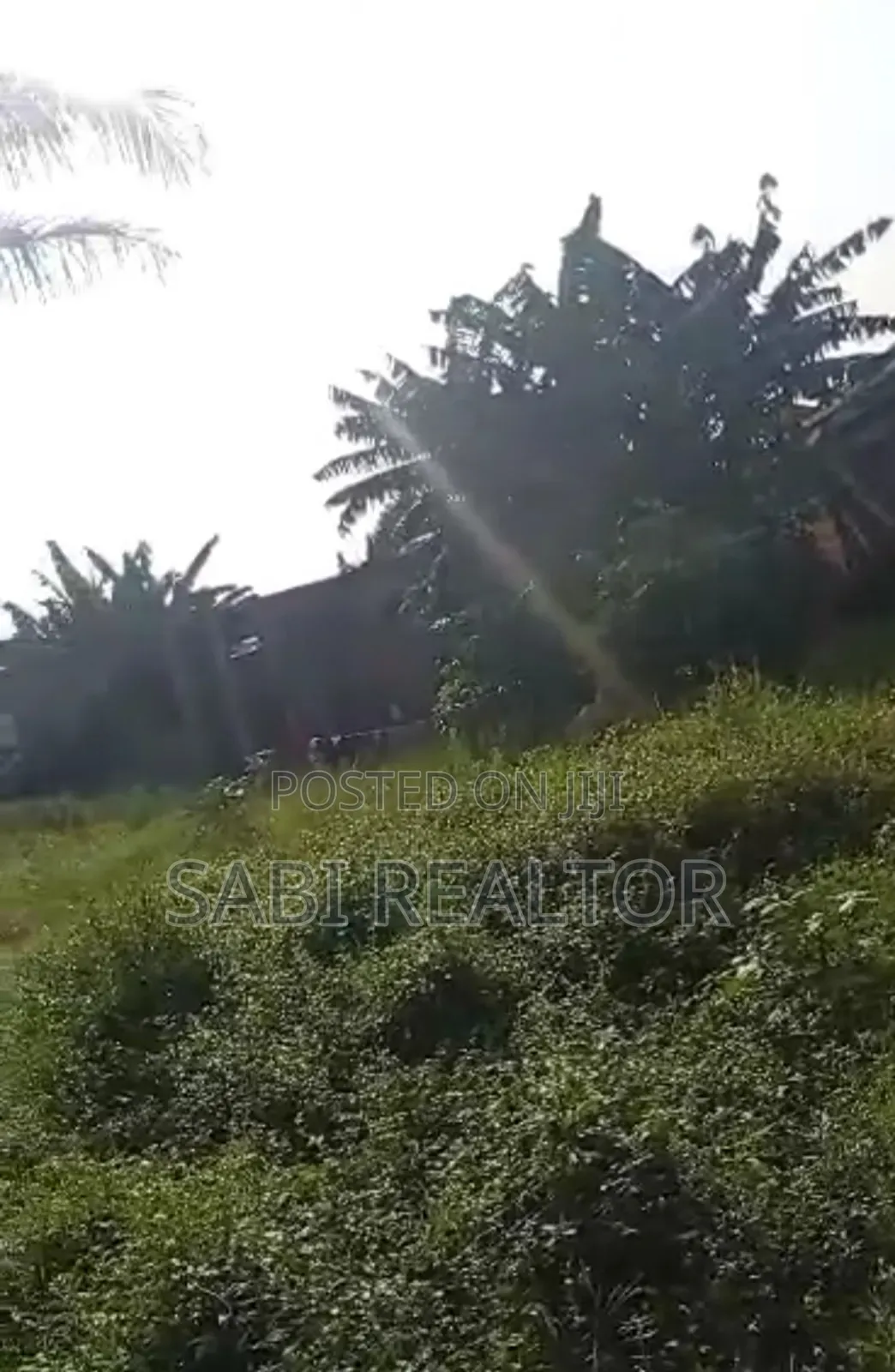 Standard Full Plot of Land at Ishefun Ayobo Close to Al Hassan Busstop