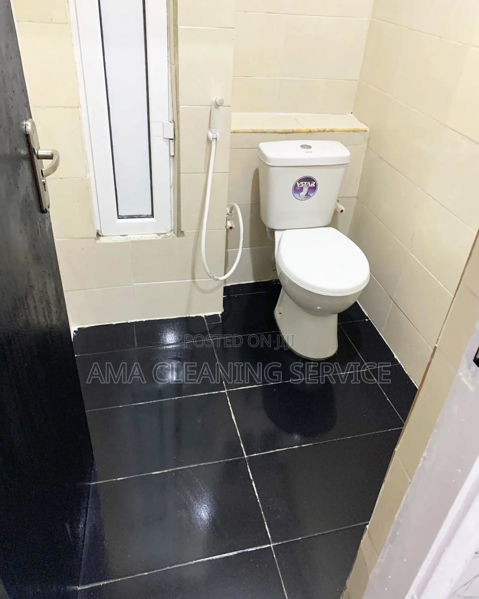 Post Construction Cleaning Service Toilet