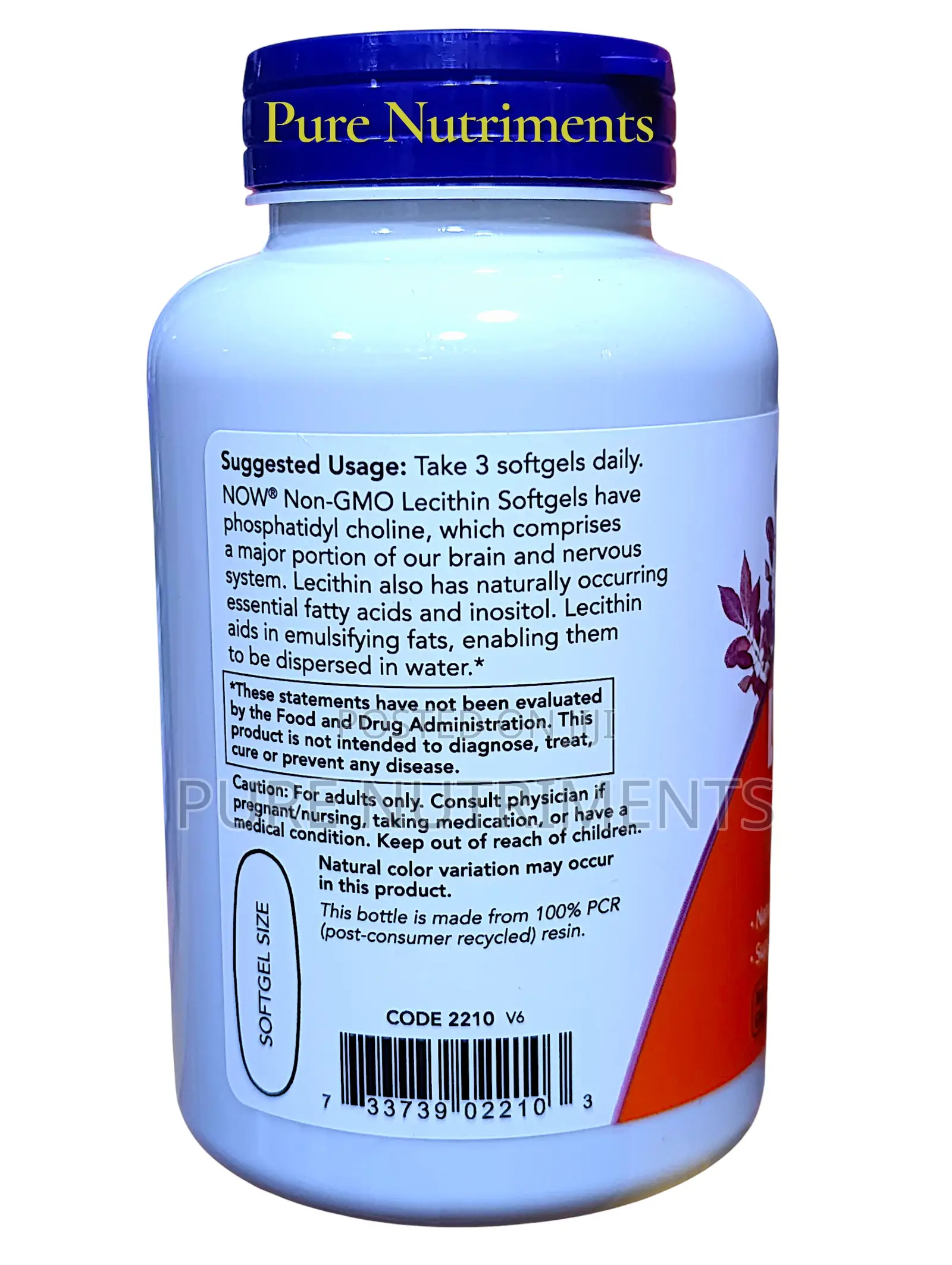 Now Lecithin 1200mg Phosphatidyl Choline 100 Softgels – Brain Support