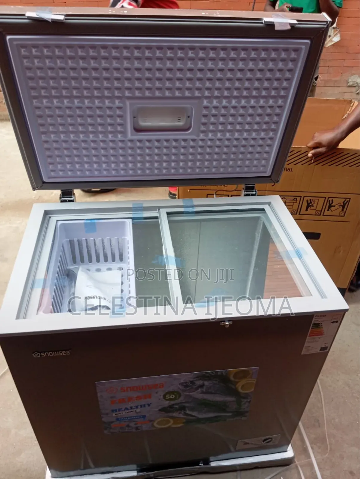 Snowsea Freezer Model 258l