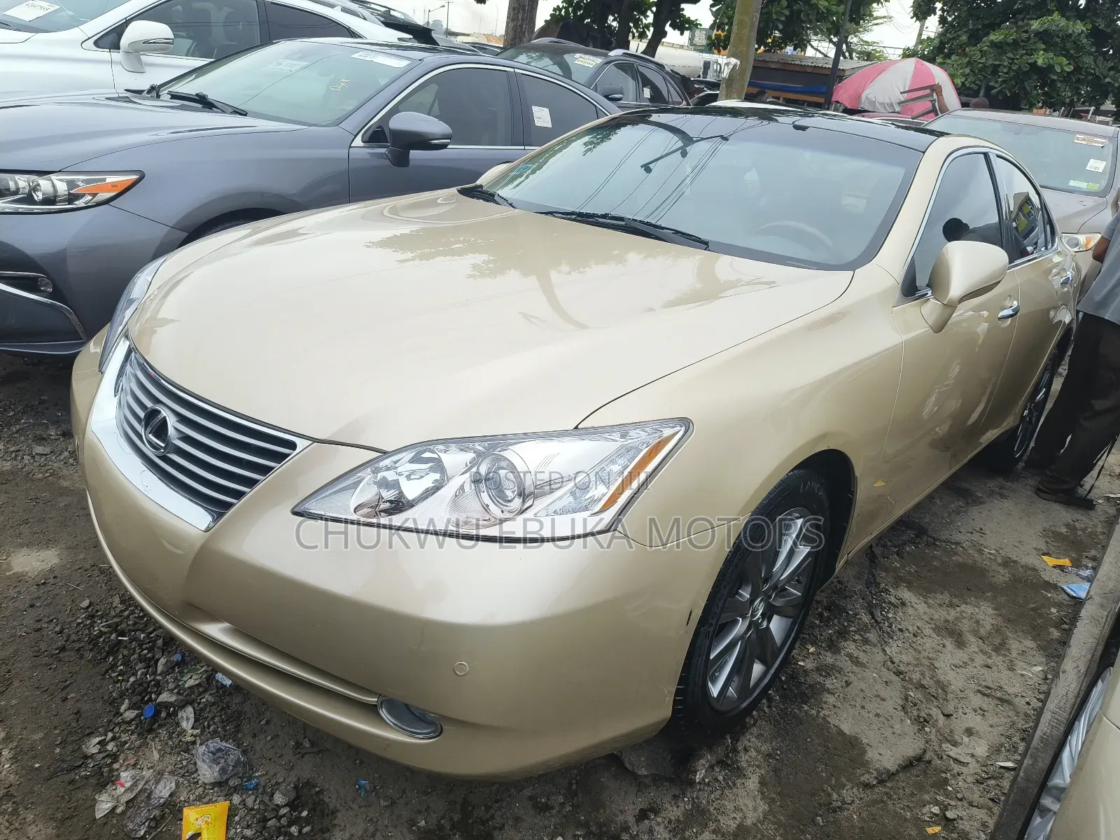 Lexus ES 350 2008 Gold