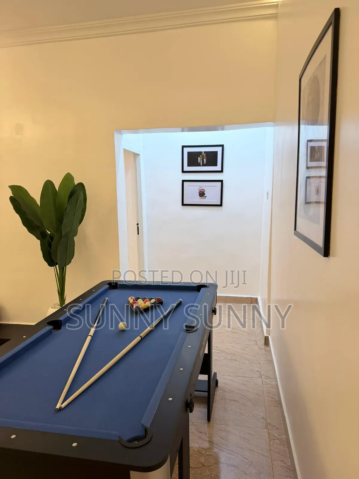 Entire 1 Bedroom Apt With Snooker