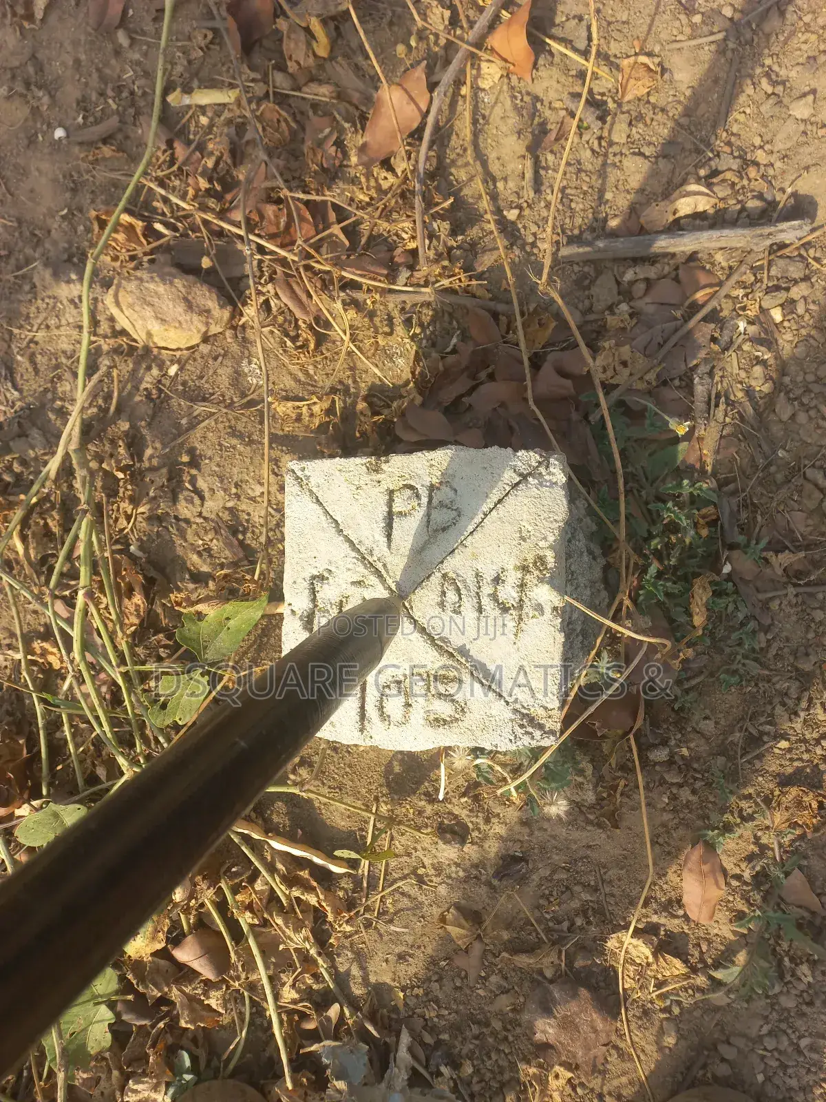 Land Surveyor and Gis