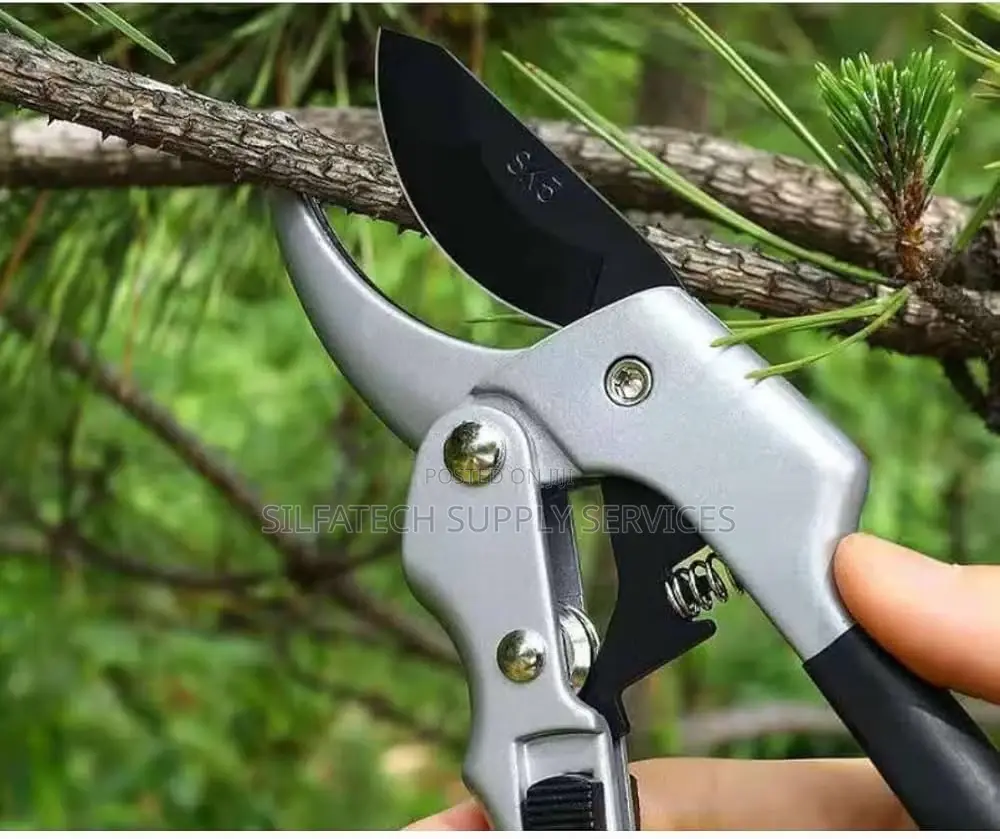 Prunning Shears
