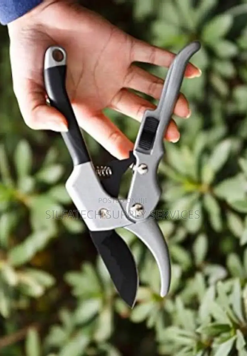 Prunning Shears