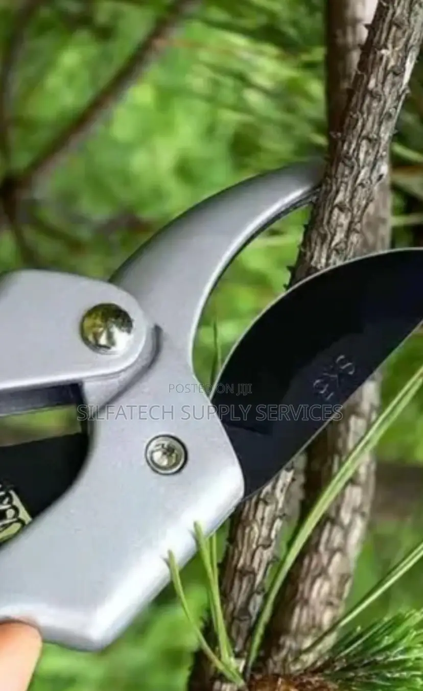 Prunning Shears