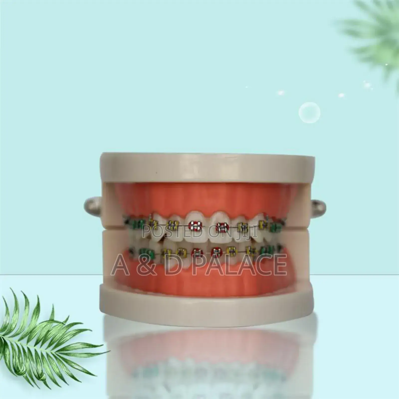 Teeth Brace