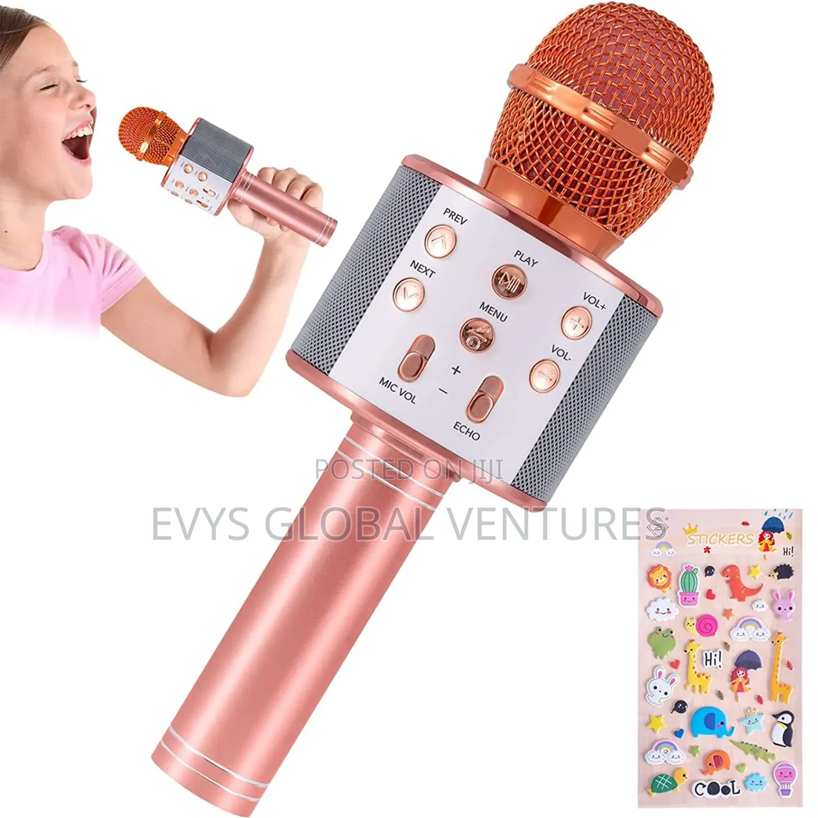 Handheld Karaoke Bluetooth Microphone